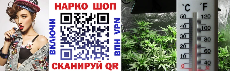 Виды наркотиков купить Слюдянка Каннабис  Галлюциногенные грибы  ГАШ  СК 