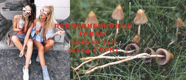 а пвп мука Алексеевка