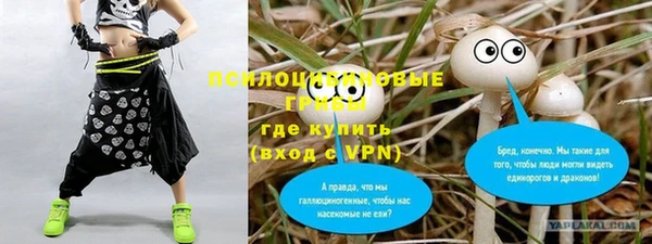 а пвп мука Алексеевка