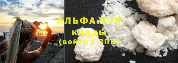 дживик Бикин